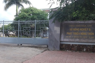 Hai nhà thầu bị cướp hồ sơ ngay tại cổng Sở NN&PTNT tỉnh Đắk Lắk