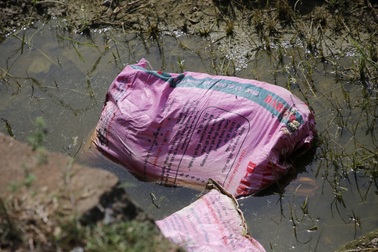 Vụ lợn chết vứt đầy đồng: Có thể do bị sốc nhiệt