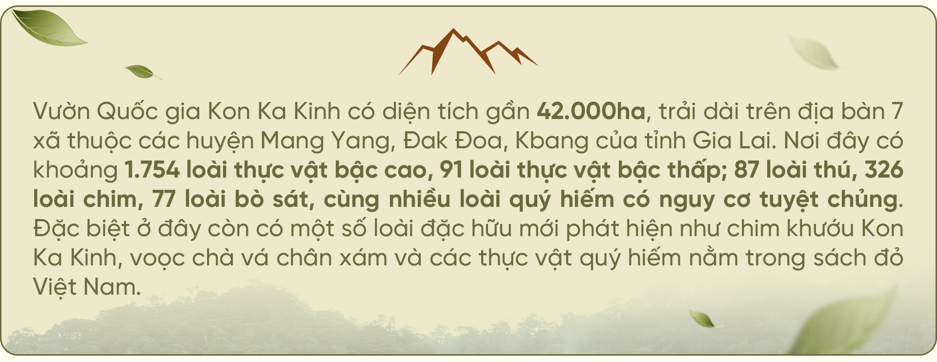 Chung lời thề canh giữ kho báu bất khả xâm phạm trên đỉnh Kon Ka Kinh - 17 Chung lời thề canh giữ kho báu bất khả xâm phạm trên đỉnh Kon Ka Kinh - 17