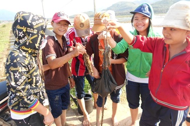 Học sinh lội ruộng diệt chuột bảo vệ mùa màng