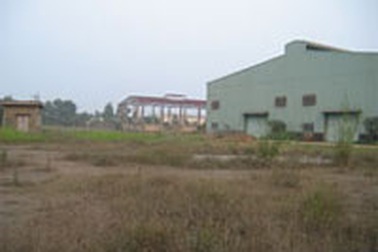 Đầu tư kiểu "cơm chấm cơm"