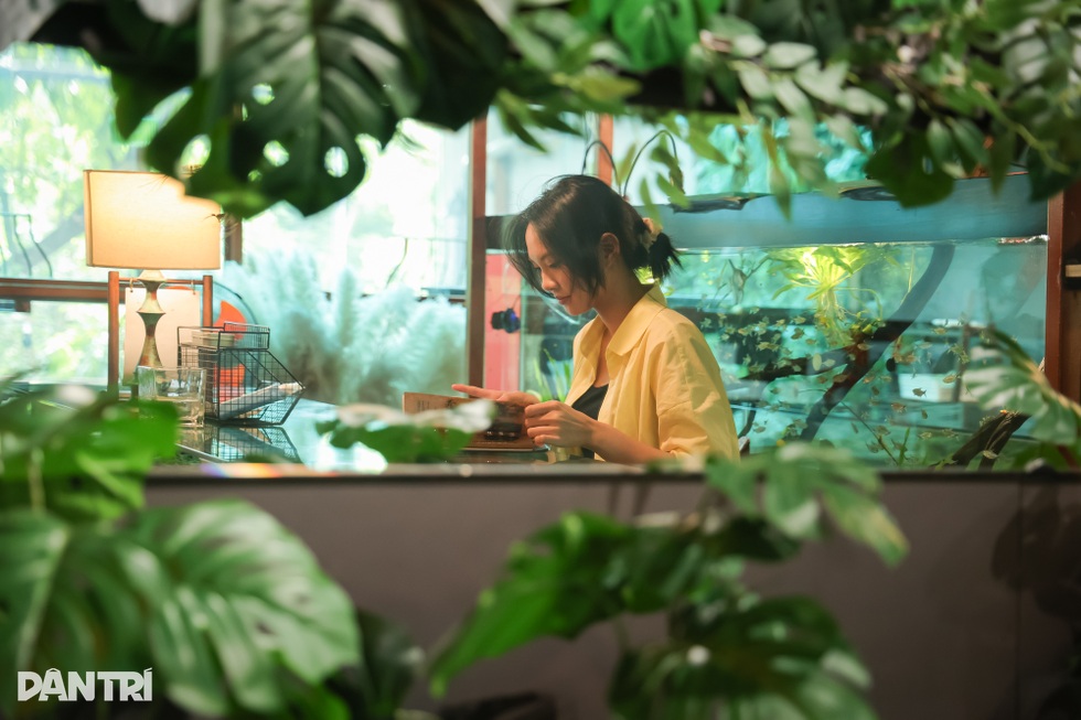 Quán cà phê như khu rừng nhỏ giữa phố Hà Nội, bàn uống nước là bể cá