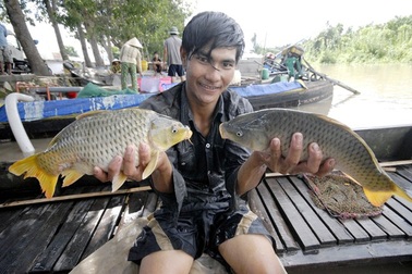 Chiêu rửa độc cá, gà trước khi ra chợ