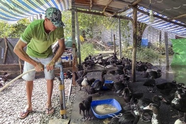 Cà Mau: Tạo sinh kế giúp người dân thoát nghèo bền vững