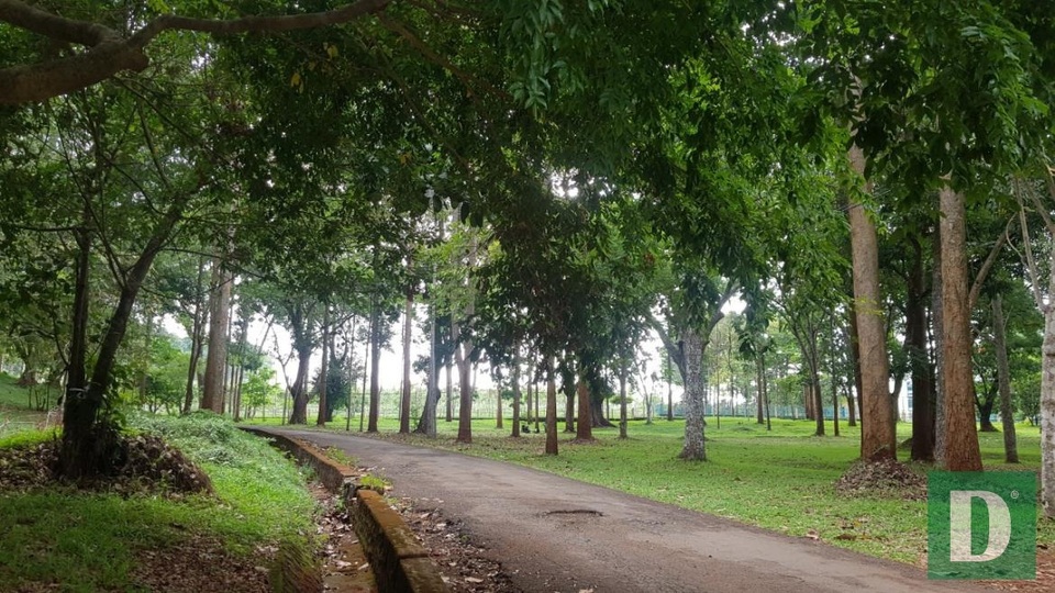 Đà Lạt miền Đông bị lãng quên - 4