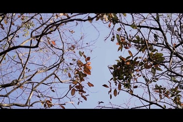 Hoa hậu Ngọc Hân và người mẫu nhí khoe sắc trong trang phục áo dài.