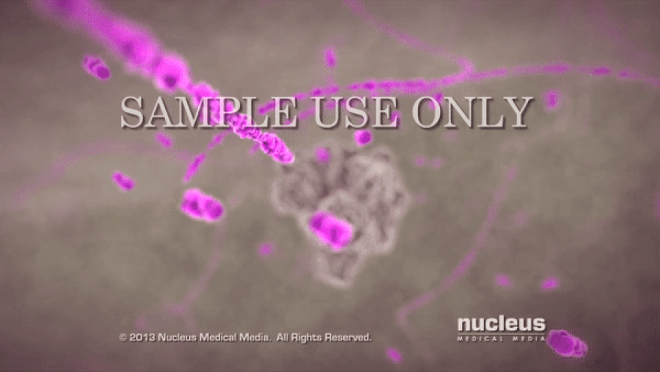 Giải mã “vũ khí” bí mật khiến bệnh cúm lây lan với tốc độ chóng mặt - 5