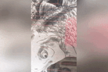 Cá chép xinh xắn hiện hình trên kính xe cáu bụi