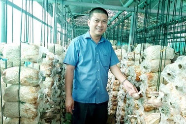 Nhà khoa học 8X bén duyên với các loại nấm