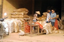 Cả làng bỏ ruộng đi buôn nông sản Tàu