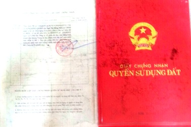 Vụ “cập nhật” đất của dân làm hẻm: Chỉ đạo các phòng chuyên môn rà soát, xử lý