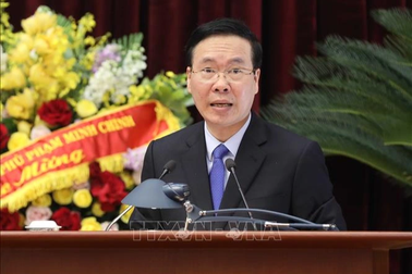 Làm rõ sai phạm của các tổ chức đảng trong vụ FLC, Vạn Thịnh Phát, AIC