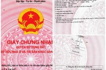 Vụ đến thăm đất, người khác đã xây nhà ở từ bao giờ: Phòng TN&MT in nhầm sổ đỏ?