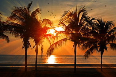 Các giá trị cốt lõi làm nên thành công của kỳ nghỉ gia đình Resorts International Vietnam