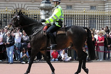 Các đội cảnh sát kỵ binh trên thế giới