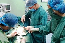 Cháu bé 5 tuổi bị chó nhà cắn rách da đầu