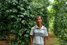 Kiếm hàng trăm triệu đồng mỗi năm trên những gò đất bạc màu