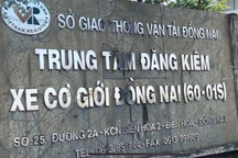 Phó giám đốc phụ trách trung tâm đăng kiểm lớn nhất tại Đồng Nai bị bắt