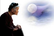Vu lan, nhớ bông hoa cài áo