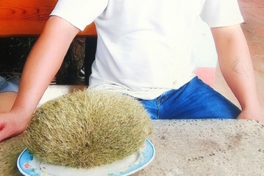 Thanh Hóa: Phát hiện một vật thể lạ nghi "cát lợn"