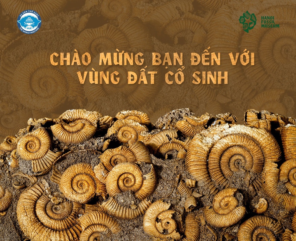 Triển lãm Hóa Thạch - Hành trình khám phá nguồn gốc của sự sống trên trái đất lần đầu đồng hành cùng Festival Huế 2022 - 5 Triển lãm Hóa Thạch - Hành trình khám phá nguồn gốc của sự sống trên trái đất lần đầu đồng hành cùng Festival Huế 2022 - 5