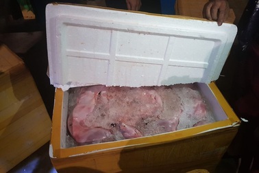 Xe khách “kẹp” 6 tạ thịt mèo hôi thối