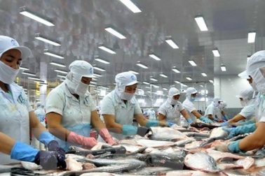 Nhận diện thách thức với hàng thủy sản xuất khẩu của Việt Nam vào Mỹ