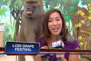 Khỉ sàm sỡ nữ phóng viên