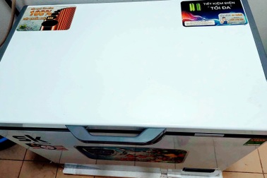 Vụ 1.300 thai nhi trong tủ đông: Nhóm thiện nguyện thu gom từ bệnh viện?