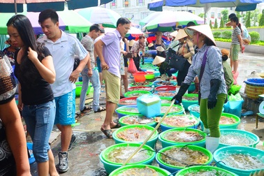 Chợ Hạ Long 1 - Điểm tham quan hấp dẫn