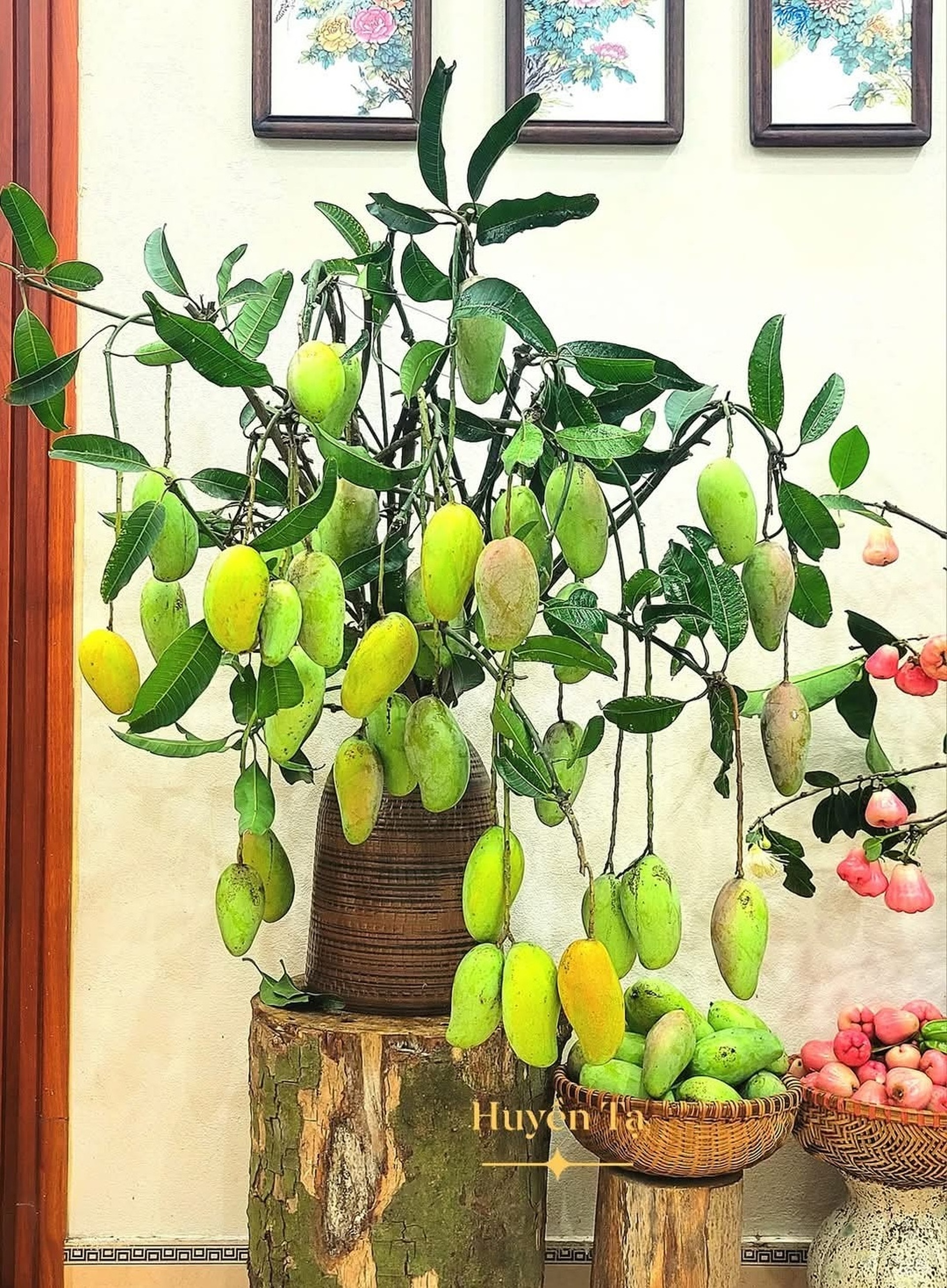Cô giáo gây sốt với bình quả từ nguyên liệu “xin dọc đường” - 2 Cô giáo gây sốt với bình quả từ nguyên liệu “xin dọc đường” - 2
