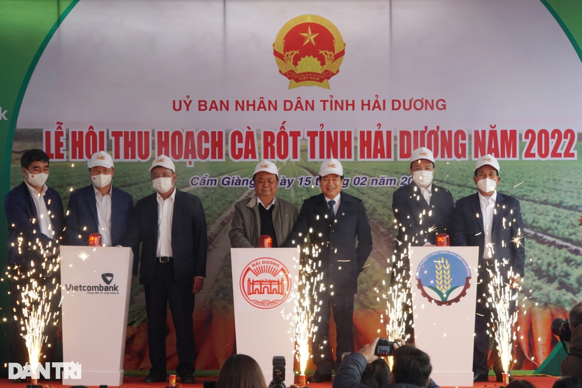 Cầu thủ Hoàng Đức thích thú thi nhổ cà rốt ở Hải Dương - 1 Cầu thủ Hoàng Đức thích thú thi nhổ cà rốt ở Hải Dương - 1