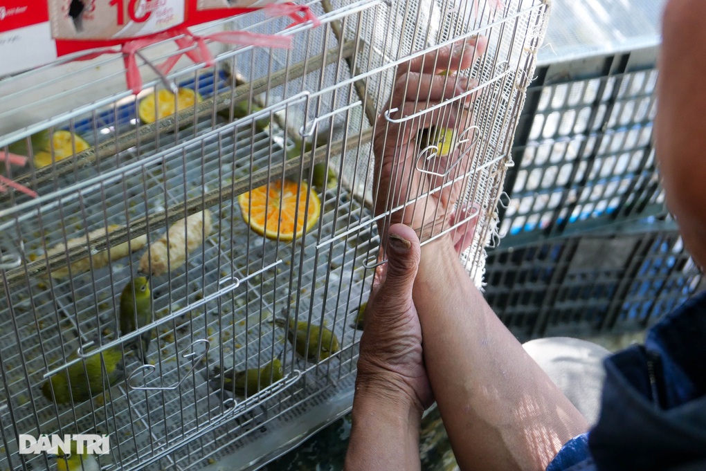 Tiểu thương Hà Nội hốt bạc bán hàng nghìn chim phóng sinh rằm tháng 7 - 4