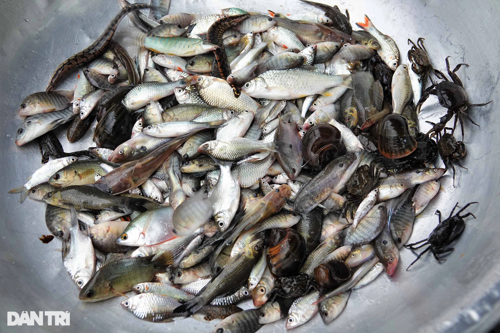 Kỳ lạ phiên chợ lênh đênh giữa đồng, bán đặc sản vạn người mê - 11