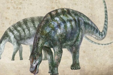 Phát hiện hóa thạch “rồng kì diệu” ở Trung Quốc