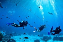 Dự kiến ngày 24/8 khắc phục xong sự cố đứt cáp quang biển AAG