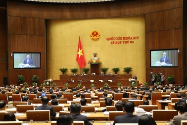 Điểm danh hàng loạt địa phương “lạm dụng” bổ nhiệm người nhà