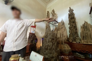 Những lão nông cược mạng, ngậm ngải tìm trầm: Mánh khóe của "phu trầm"