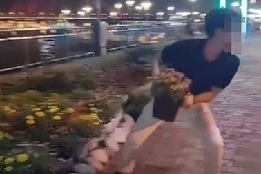 Thanh niên dựng cảnh trộm cây ở Đà Nẵng đăng lên mạng... cho vui