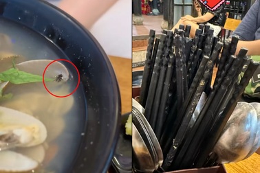 TikToker phản ánh "thức ăn có ruồi", quán ốc nhận lỗi, tạm đóng cửa