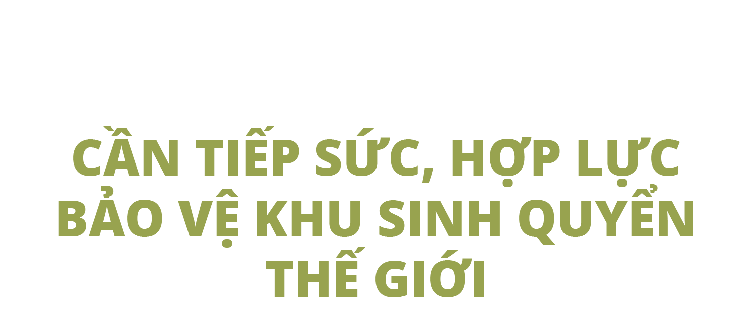 Bí ẩn về báu vật thế gian giữa đại ngàn cao nguyên ở Việt Nam - 6 Bí ẩn về báu vật thế gian giữa đại ngàn cao nguyên ở Việt Nam - 6