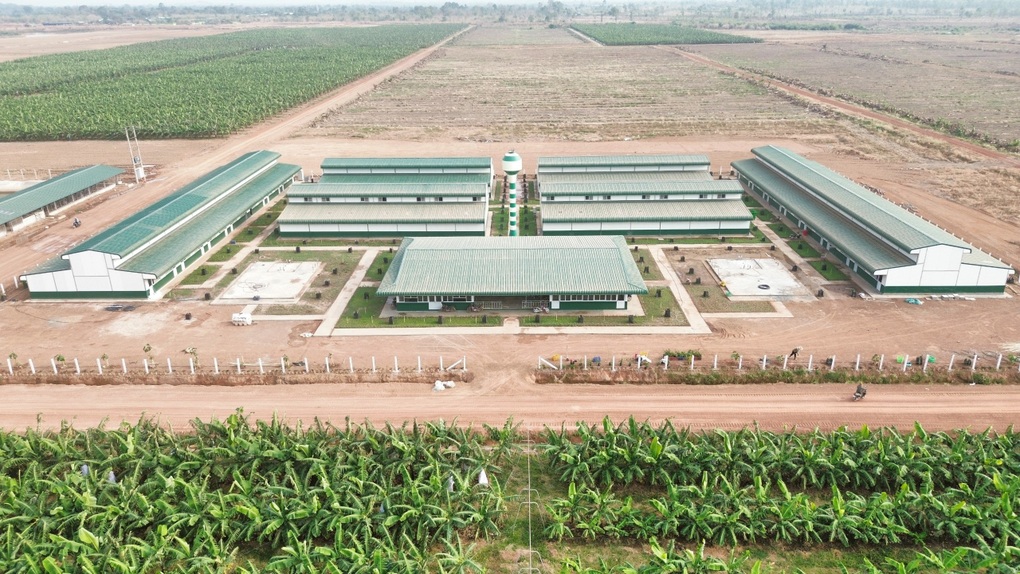 THACO AGRI đầu tư cơ sở vật chất, chăm lo đời sống người lao động - 1 THACO AGRI đầu tư cơ sở vật chất, chăm lo đời sống người lao động - 1