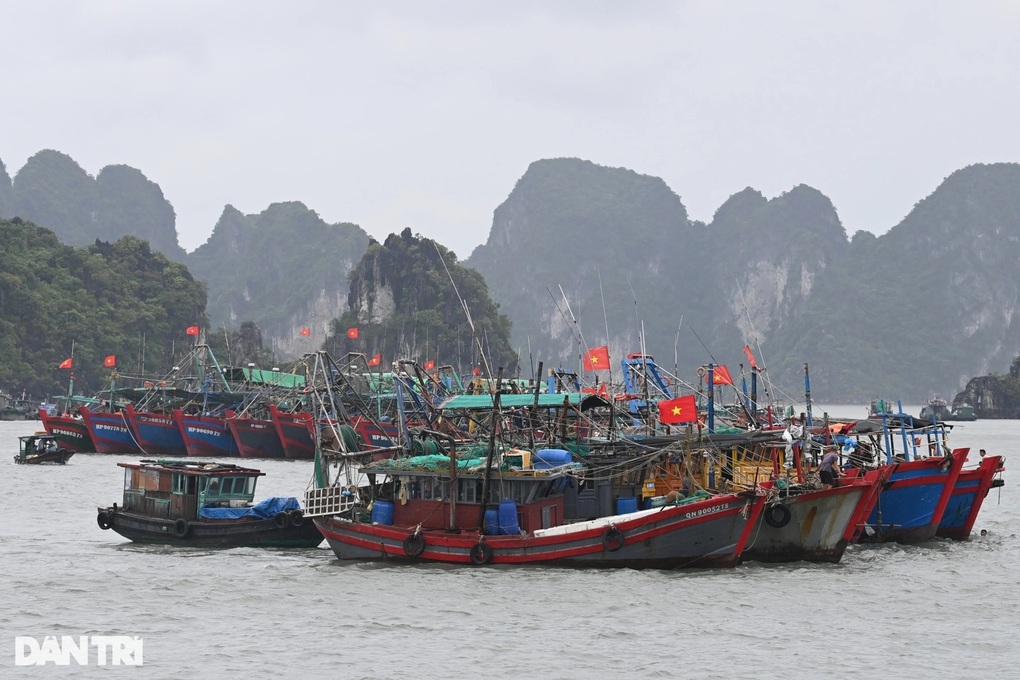 Quảng Ninh, Hải Phòng cấm biển đối phó bão số 2 - 1