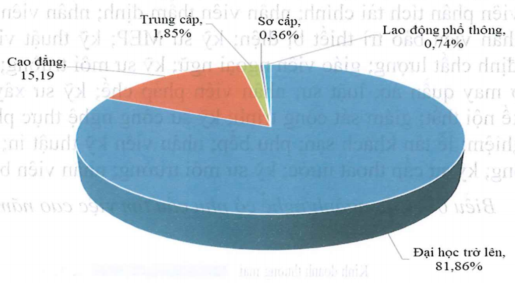 82% người tìm việc có trình độ đại học trở lên - 1