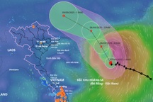Bão Tapah vào Trung Quốc nhưng gây mưa lớn ở Việt Nam