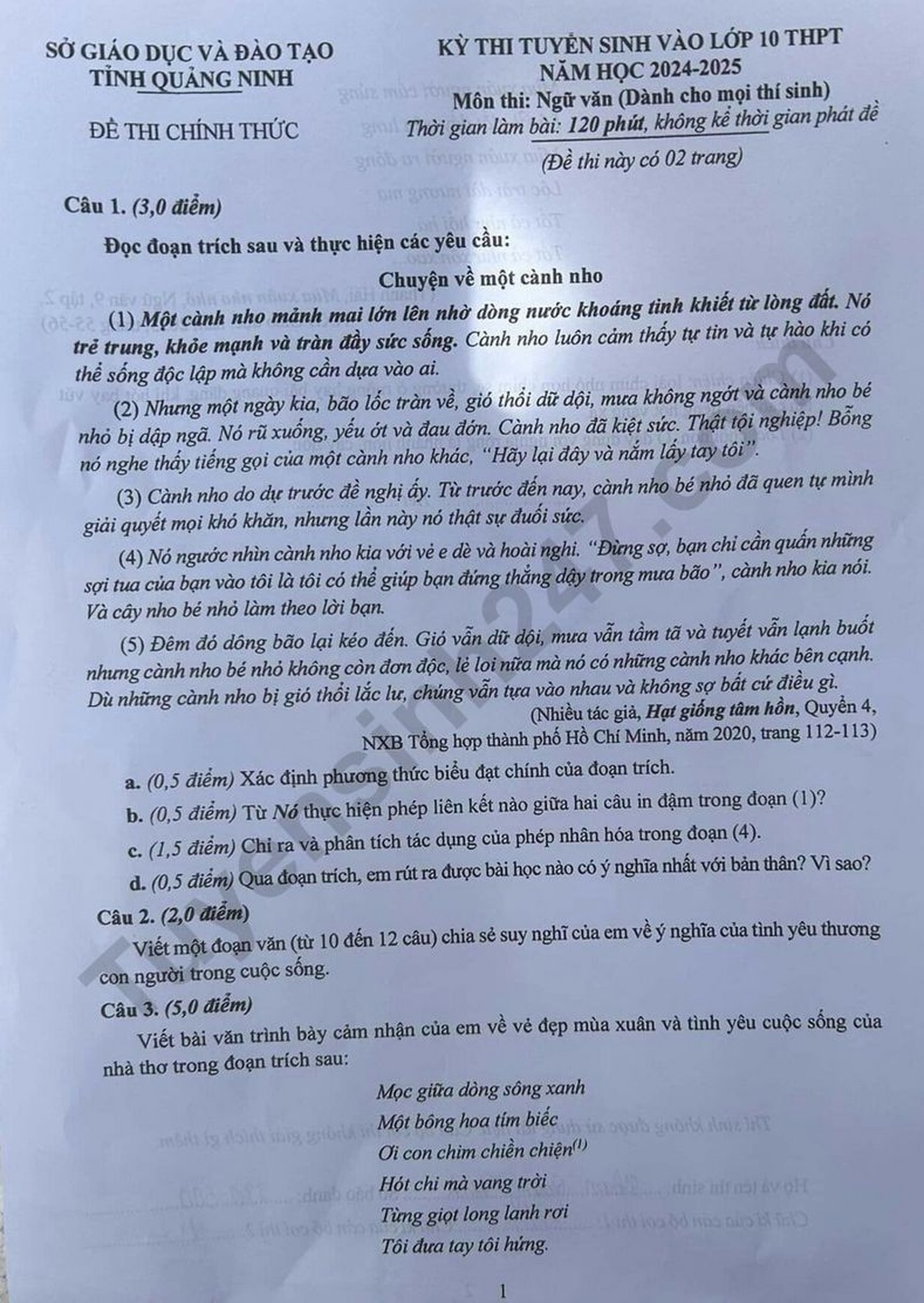 Tình yêu cuộc sống vào đề ngữ văn thi lớp 10 tại Quảng Ninh năm 2024 - 1 Tình yêu cuộc sống vào đề ngữ văn thi lớp 10 tại Quảng Ninh năm 2024 - 1