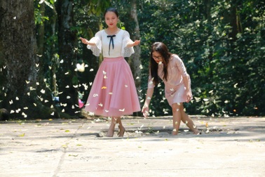 Đến Cúc Phương ngắm “rừng bươm bướm”