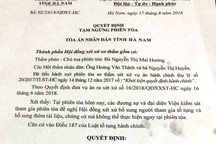 Người dân khởi kiện UBND huyện Thanh Liêm: Tòa ra quyết định tạm ngừng phiên tòa