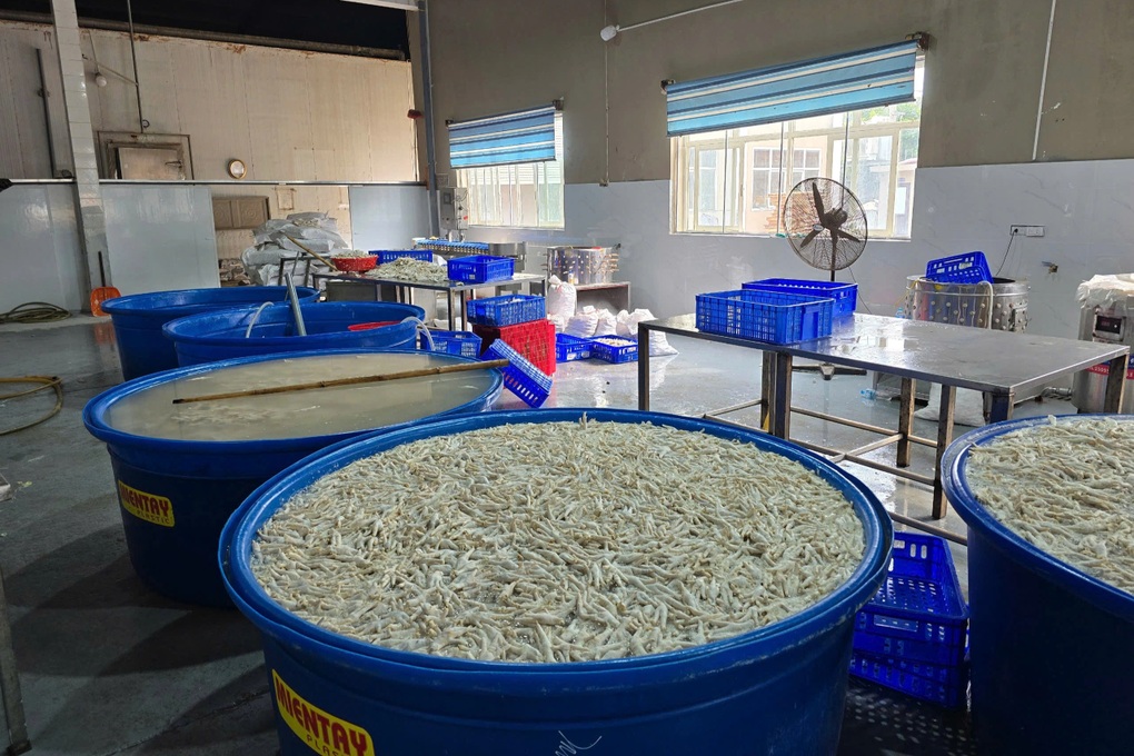 Phát hiện 13 tấn chân gà được tẩy trắng bằng hóa chất ở kho đông lạnh - 1 Phát hiện 13 tấn chân gà được tẩy trắng bằng hóa chất ở kho đông lạnh - 1