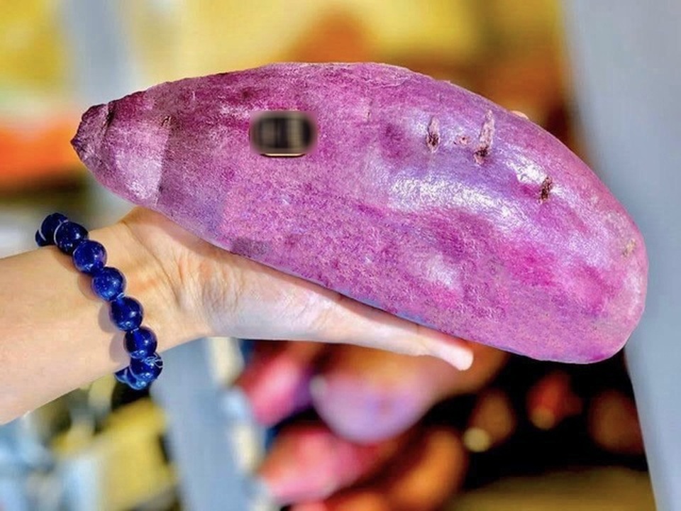 500.000 đồng mua bào ngư Trung Quốc, tóp mỡ đặc sản, khoai lang Nhật tẩm bổ - 2 500.000 đồng mua bào ngư Trung Quốc, tóp mỡ đặc sản, khoai lang Nhật tẩm bổ - 2